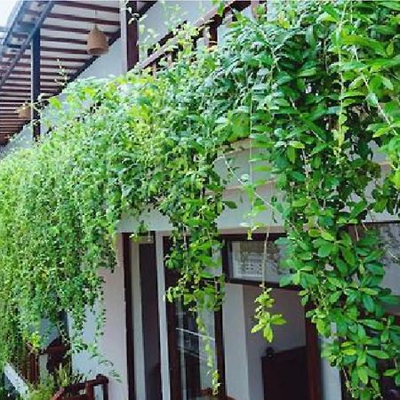 Riverside Plum Garden Villa Hoi An Luaran gambar