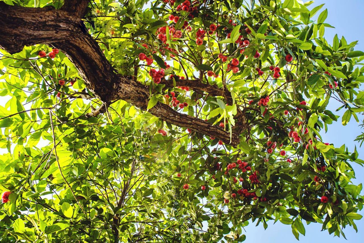 Riverside Plum Garden Villa Hoi An Luaran gambar