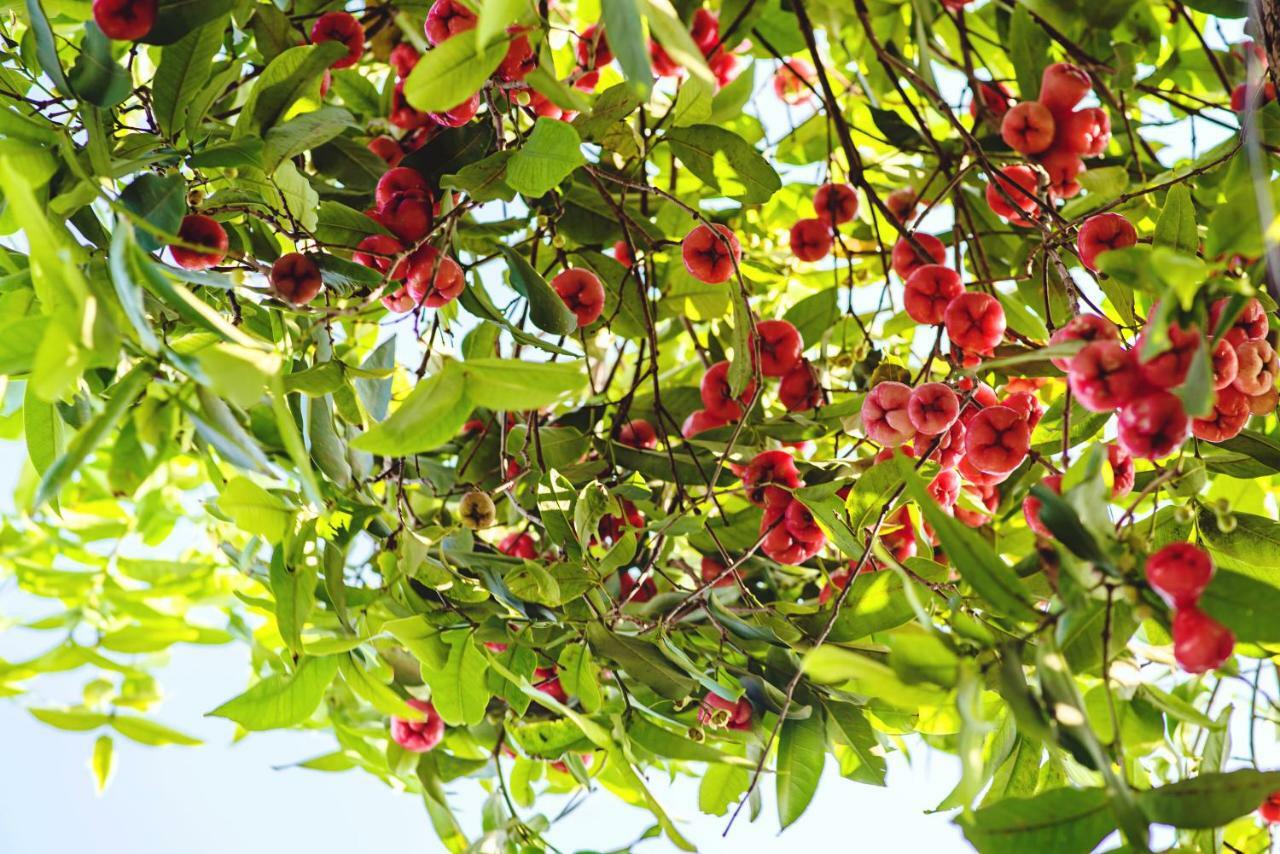 Riverside Plum Garden Villa Hoi An Luaran gambar